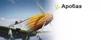Семена кукурузы Сингента Аробаз